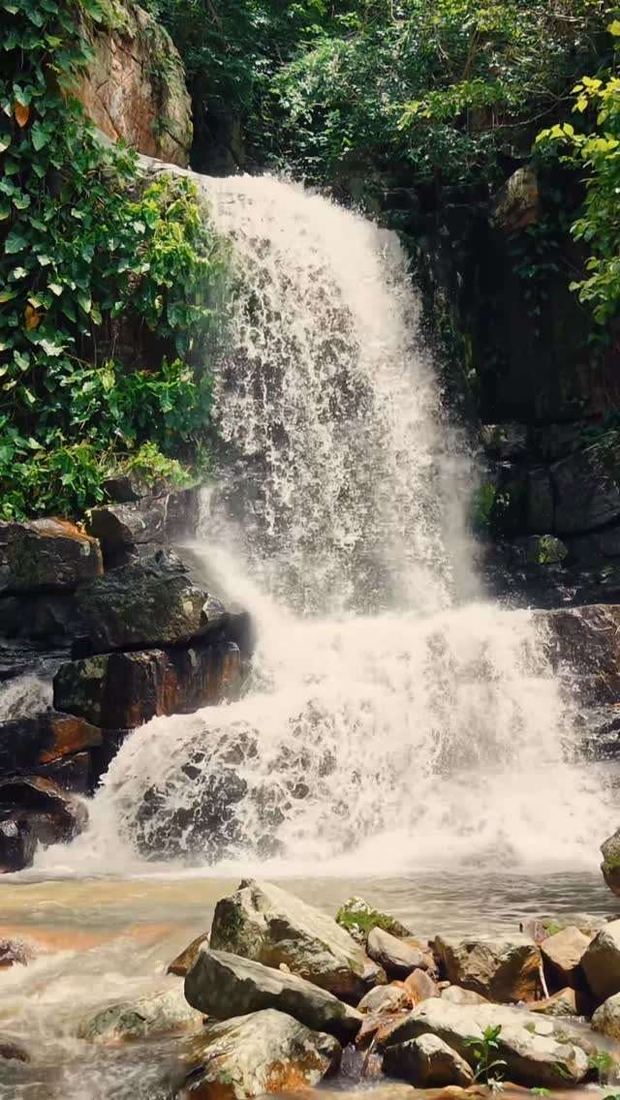 Cachoeira cercada de vegetação